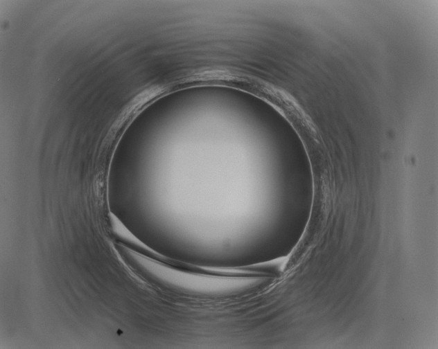 X0000083061225200702161748