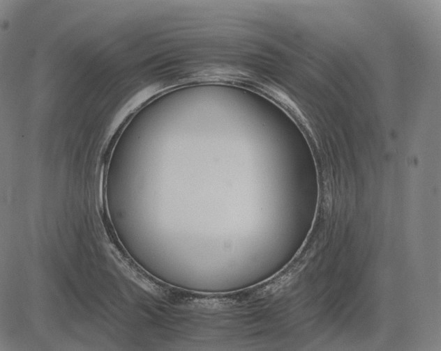 X0000083061227200702161748