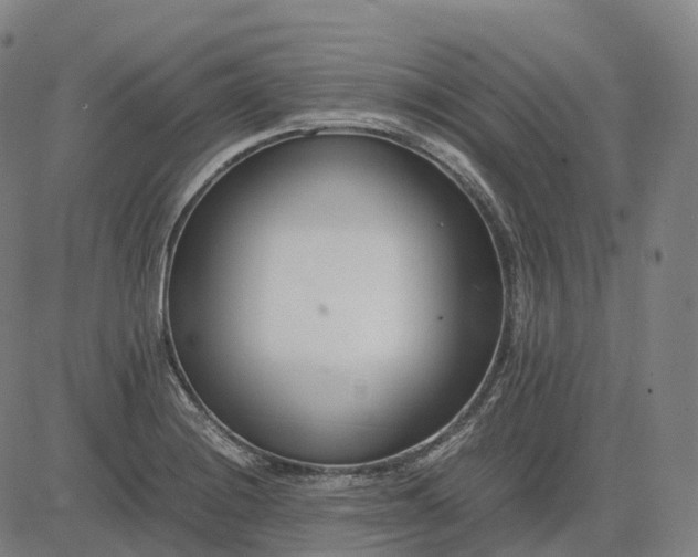 X0000083061228200702161748