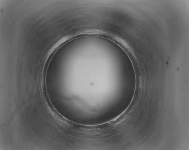 X0000083061229200702161748