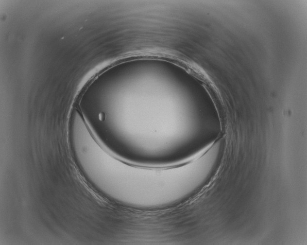 X0000083061230200702161748