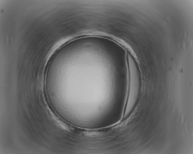 X0000083061231200702161748