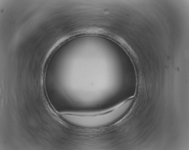 X0000083061232200702161748