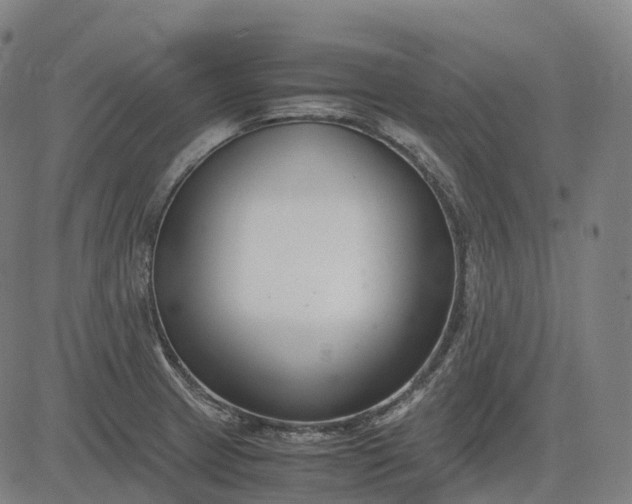 X0000083061233200702161748