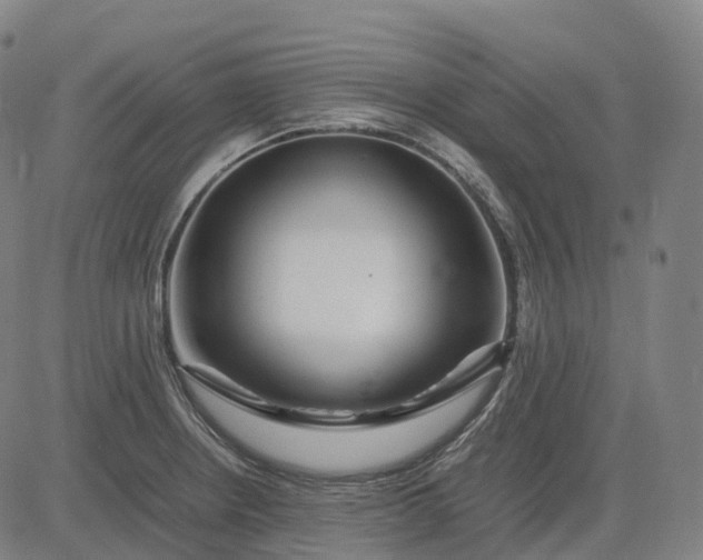 X0000083061234200702161748