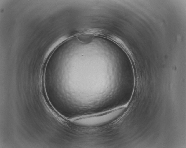 X0000083061235200702161748