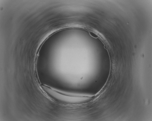 X0000083061236200702161748