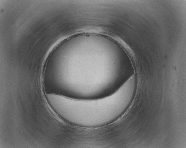 X0000083061240200702161748