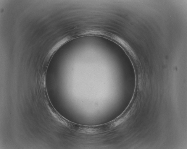 X0000083061241200702161748