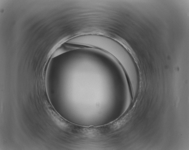 X0000083061242200702161748