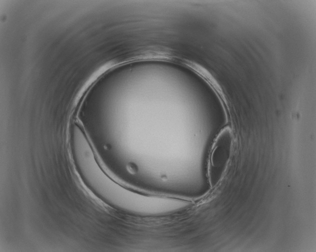 X0000083061243200702161748