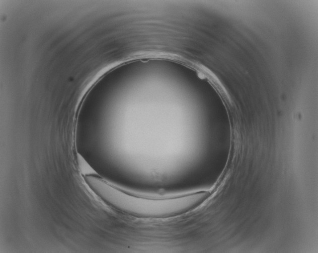 X0000083061244200702161748