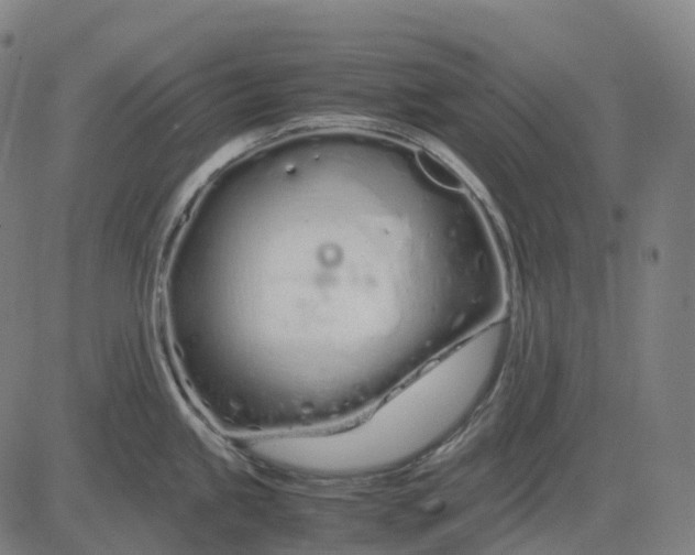 X0000083061245200702161748