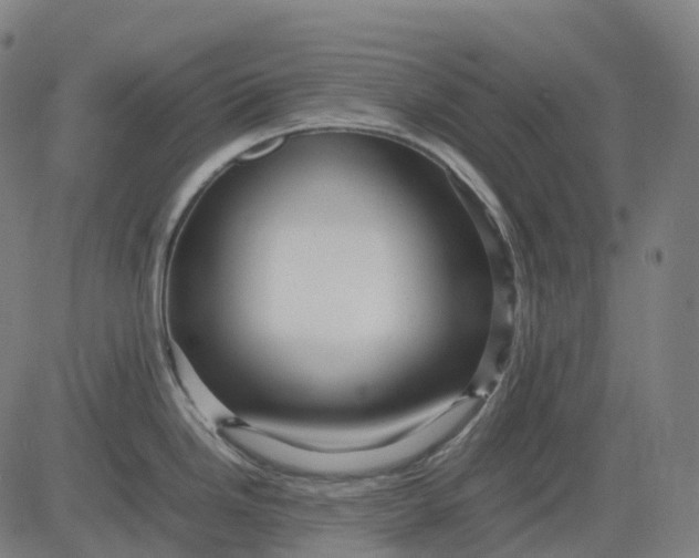 X0000083061246200702161748