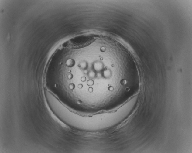 X0000083061247200702161748