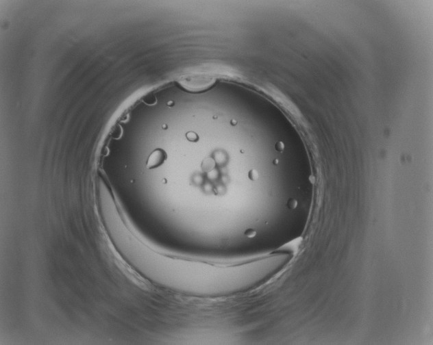 X0000083061248200702161748