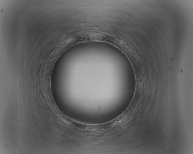 X0000083061249200702161748