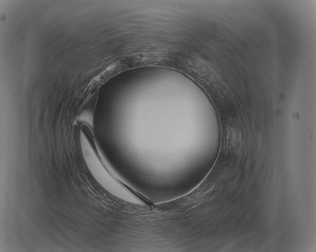 X0000083061250200702161748