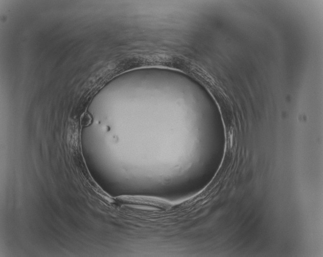 X0000083061251200702161748