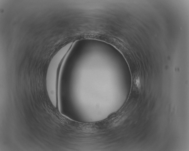 X0000083061252200702161748