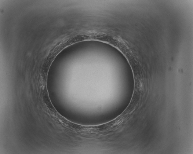 X0000083061253200702161748