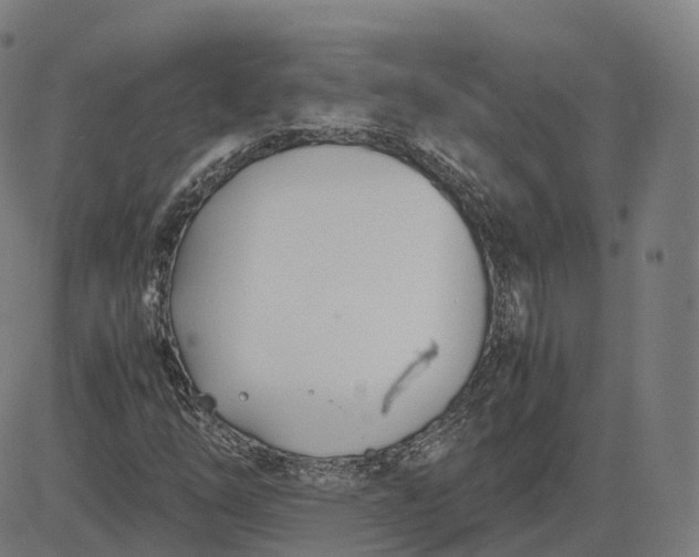 X0000083061254200702161748