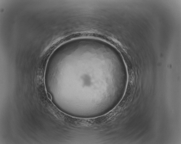 X0000083061255200702161748