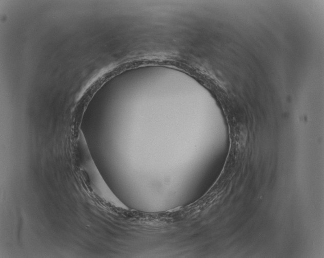 X0000083061256200702161748