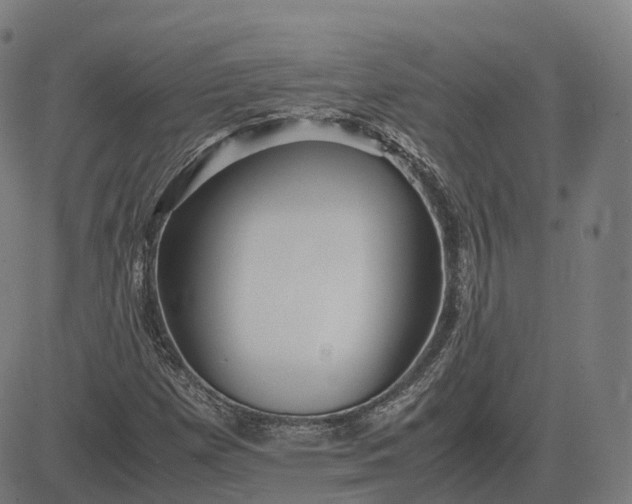 X0000083061257200702161748