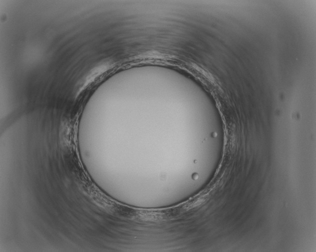 X0000083061258200702161748