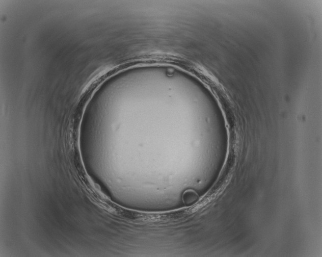 X0000083061259200702161748