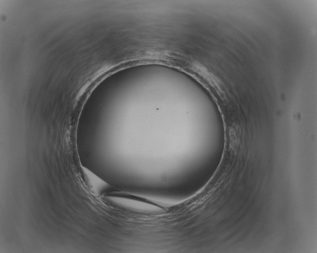 X0000083061260200702161748