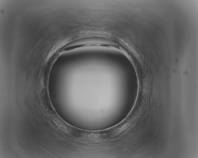 X0000083061261200702161748