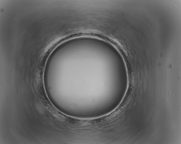 X0000083061263200702161747