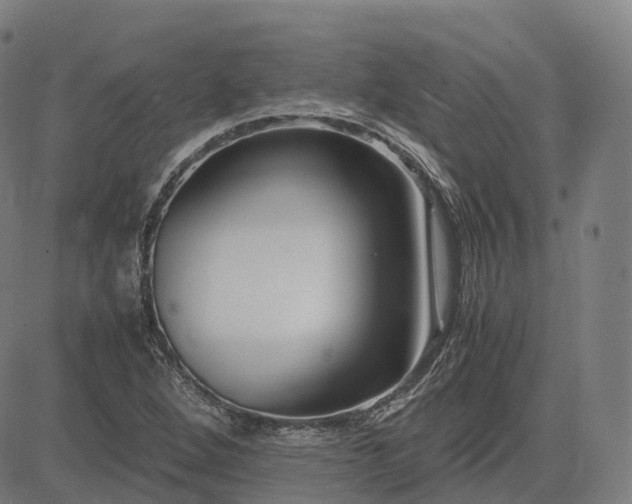 X0000083061264200702161747