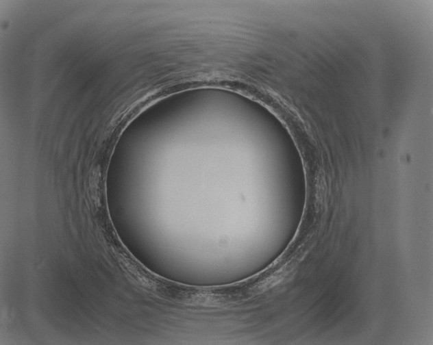 X0000083061265200702161747