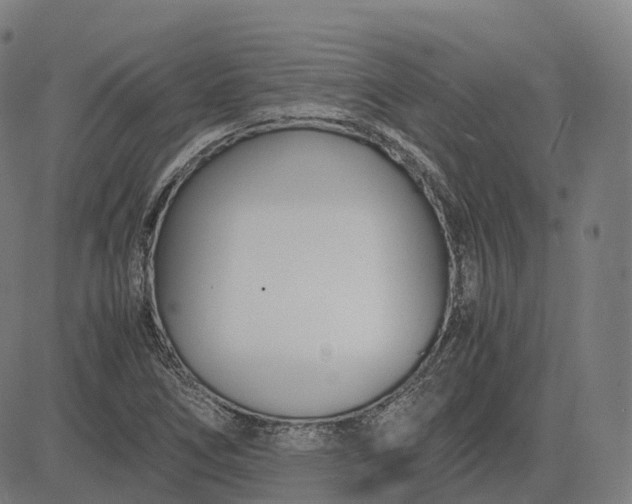 X0000083061266200702161747