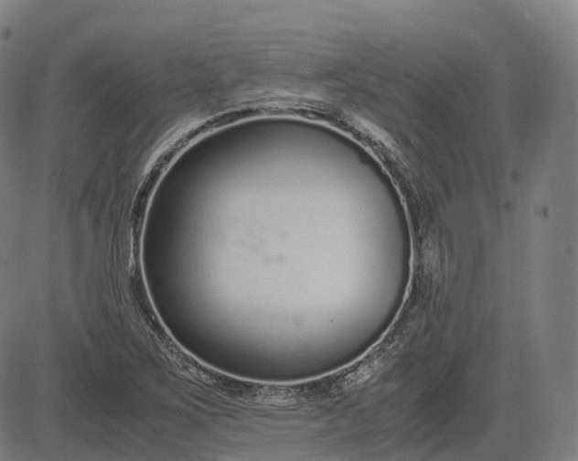 X0000083061267200702161747