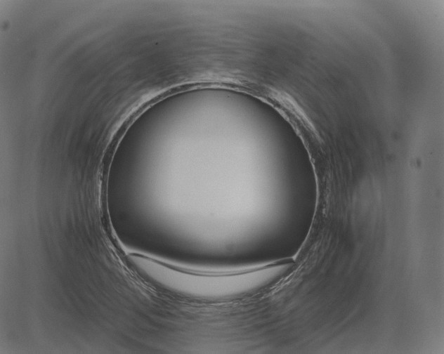 X0000083061268200702161747