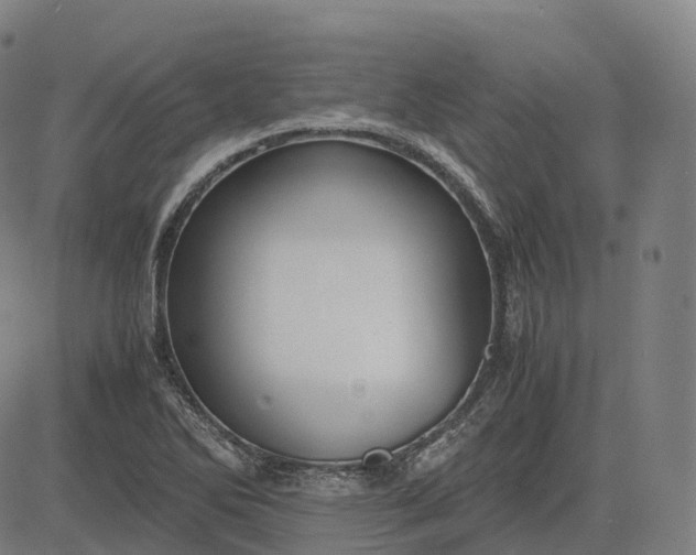 X0000083061270200702161747