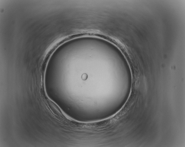 X0000083061271200702161747