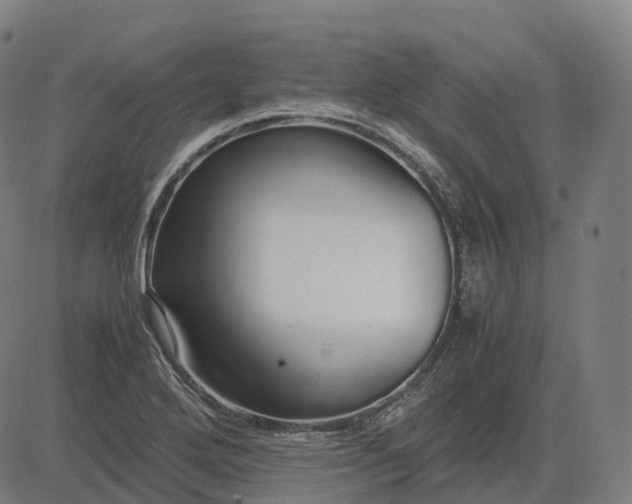 X0000083061272200702161747