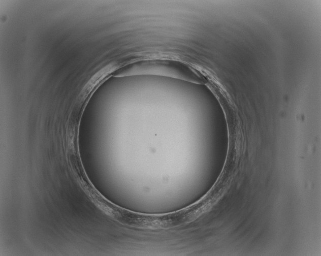 X0000083061273200702161747