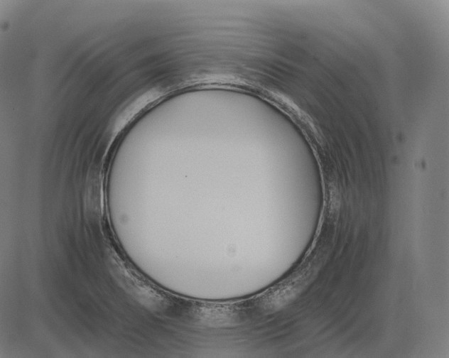 X0000083061274200702161747