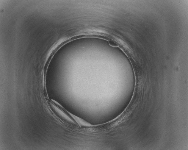 X0000083061275200702161747