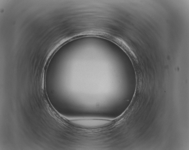 X0000083061276200702161747