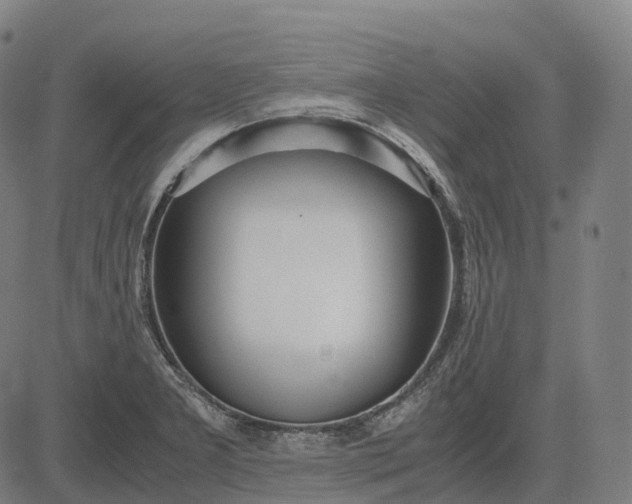 X0000083061277200702161747