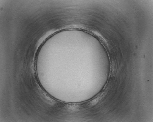 X0000083061278200702161747