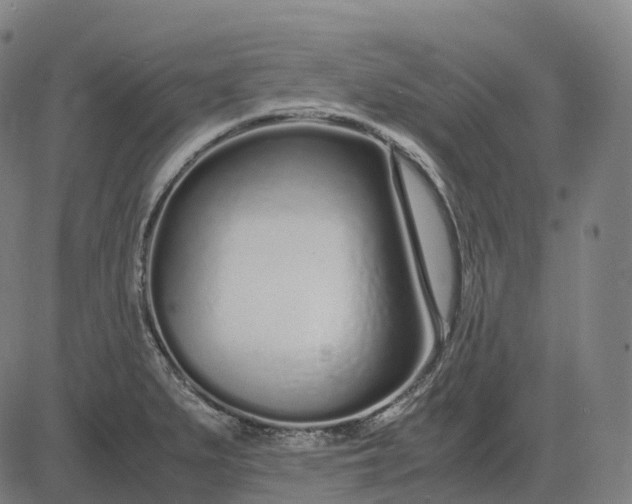 X0000083061279200702161747