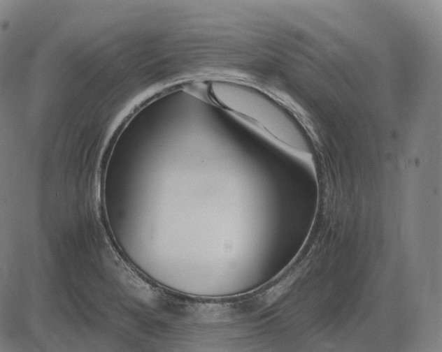 X0000083061280200702161747